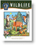 Wildlife Student Guide Coloring Book