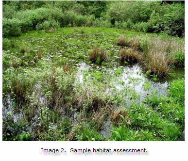 sample habitat assessement