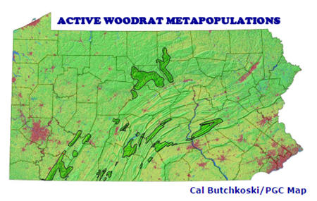 Allegheny Woodrat Metapopulations