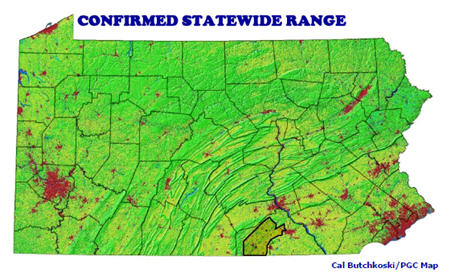 Least Shrew Statewide Range