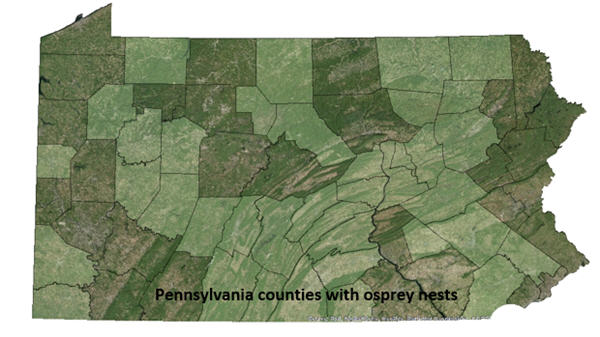 Pennsylvania counties with osprey nests map