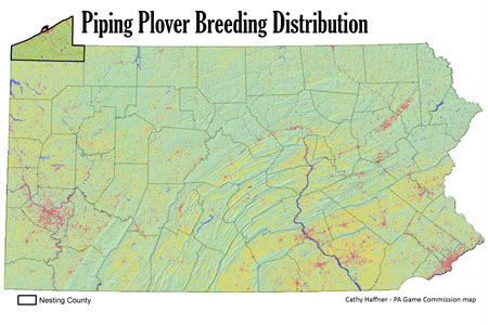 Piping Plover Historic Distribution