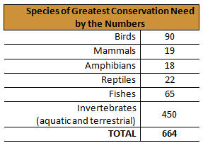 Species of greatest conservation need by the numbers