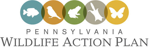 Pennsylvania Wildlife Action Plan