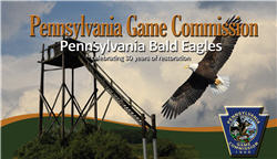 Pennsylvania Bald Eagle YouTube film