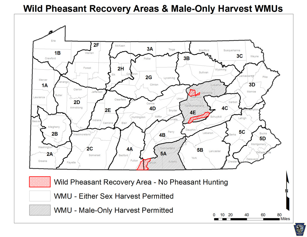 Wild Pheasant Recovery Areas