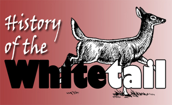 History of the Whitetail