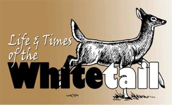 Life & Time of the Whitetail