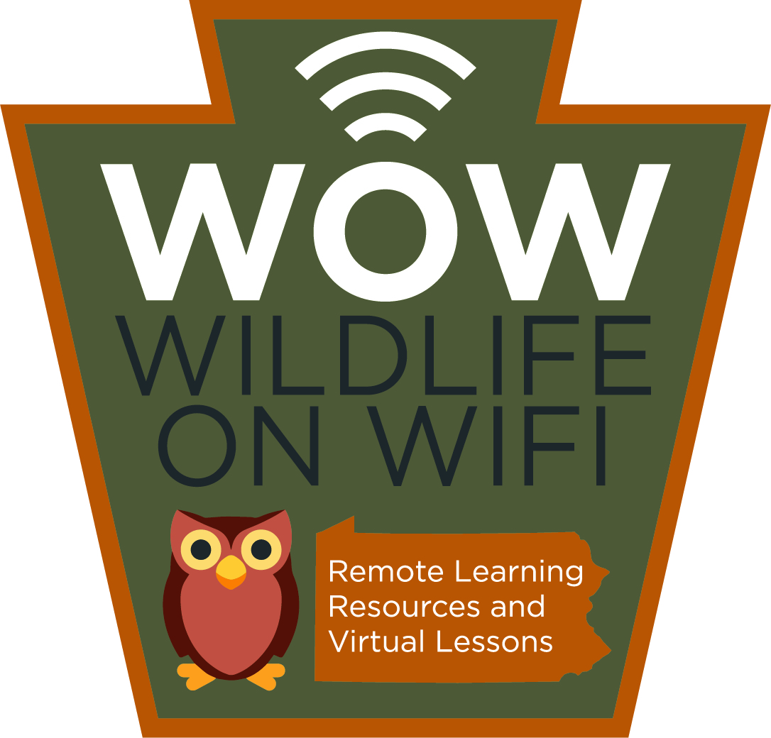 Wildlife on WiFi logo