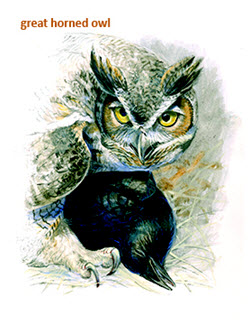 Greathorned Owl