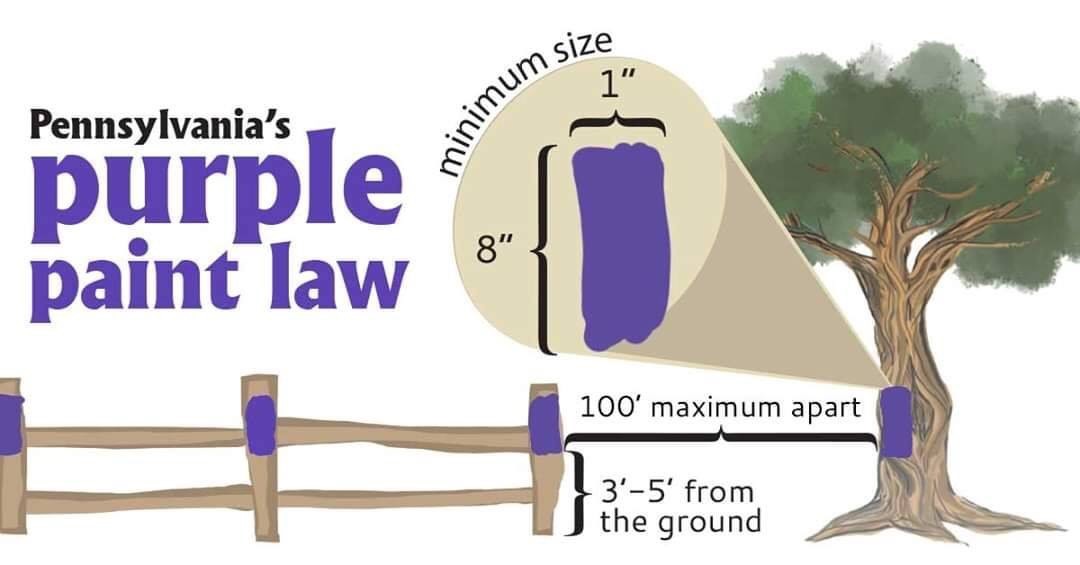 Purple Paint Law