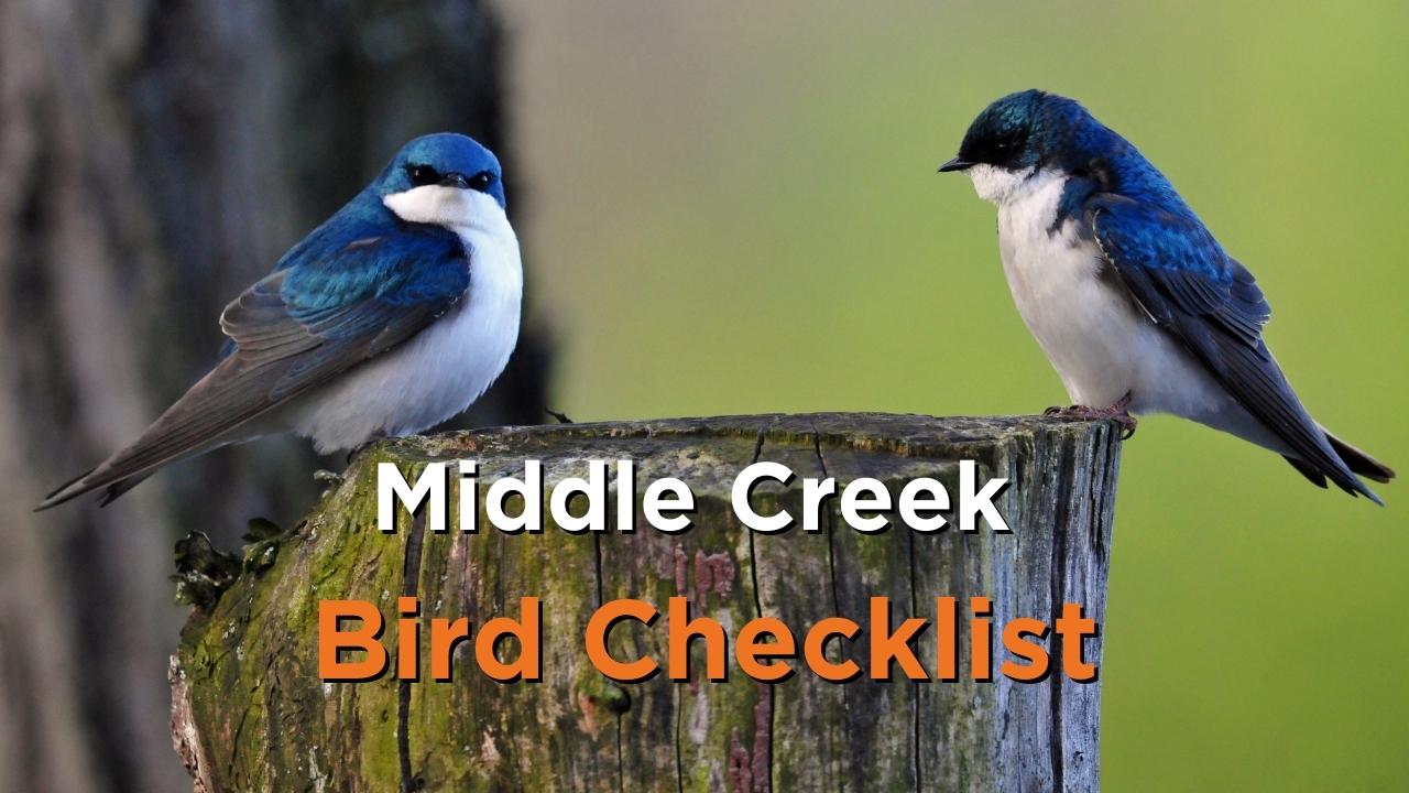 Bird checklist.jpg