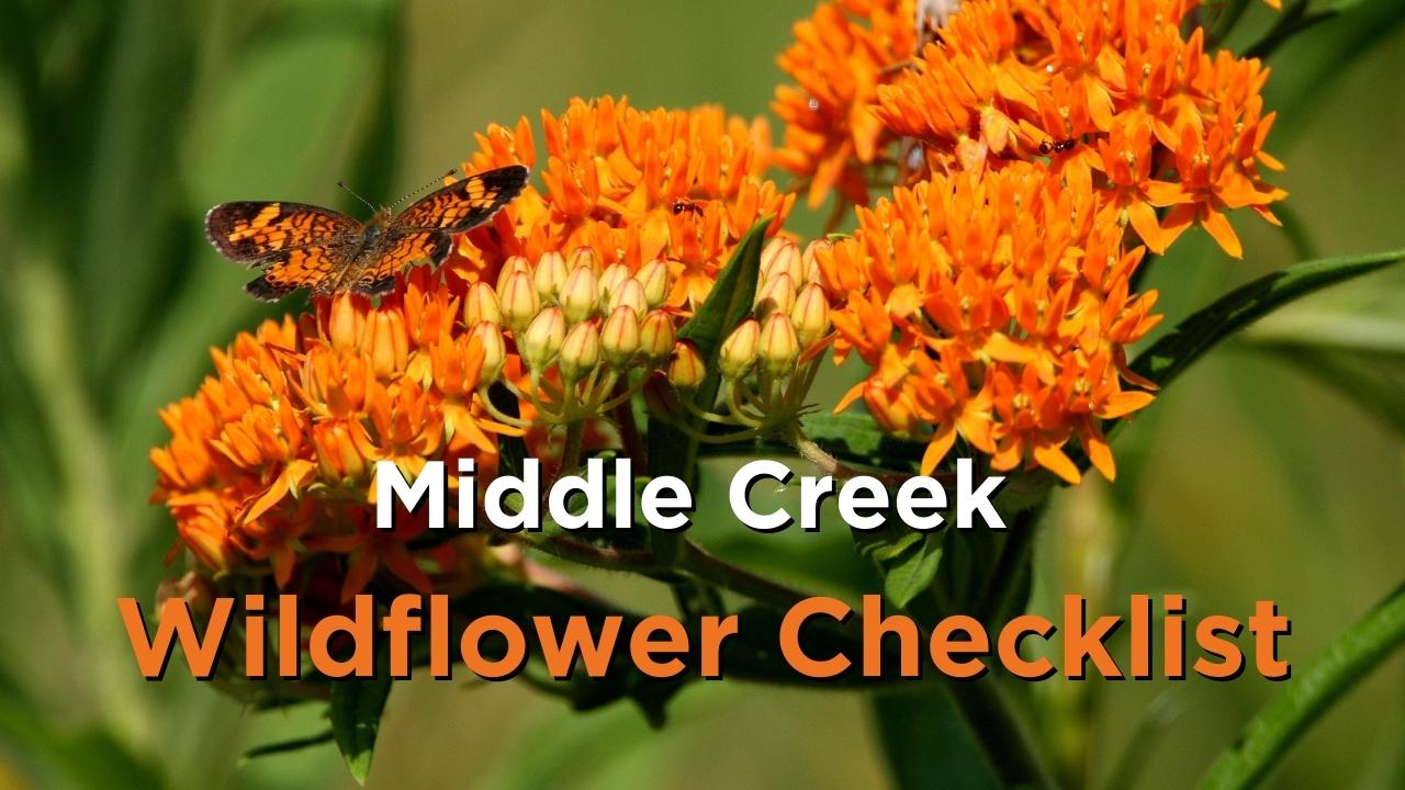 Wildflower checklist.jpg