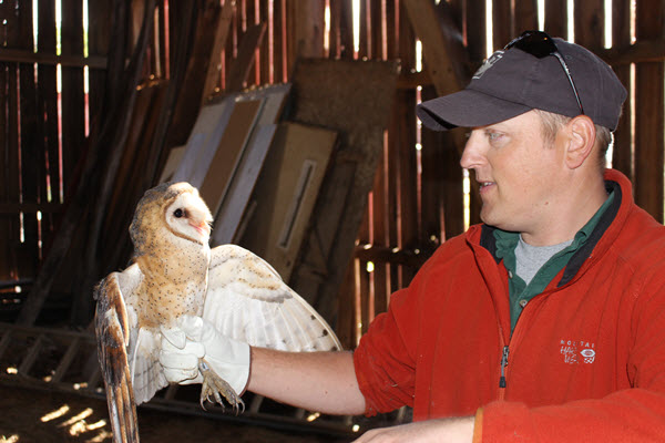 PGC Biologist Clayton Lutz holding adult female barn owl