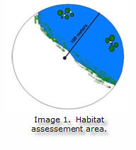 Marsh bird survey habiat assessement area
