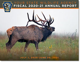 2021 Annual Report image