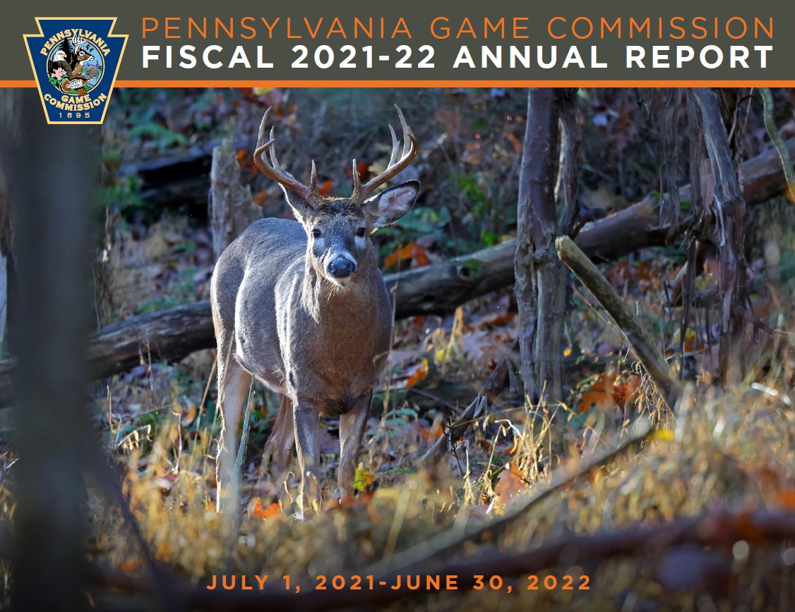2022 annual report.jpg