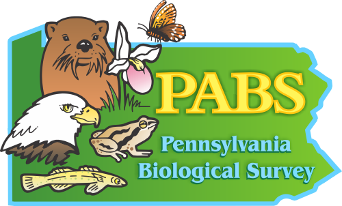 PABS_transparent background.png
