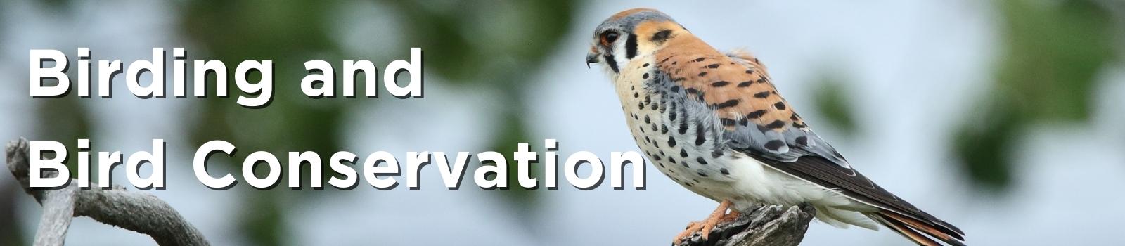 Birding and Bird Conservation.jpg