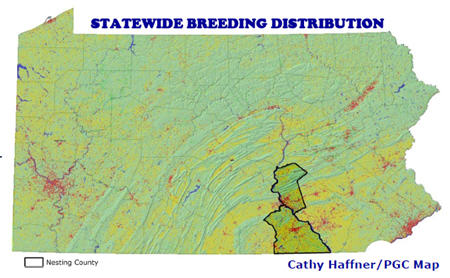 Great Egret Statewide Distribution