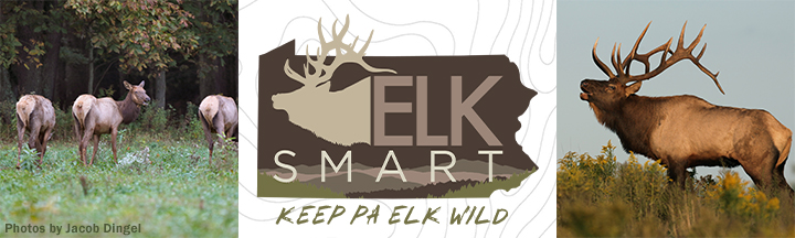 Elk Smart Keep PA Elk Wild