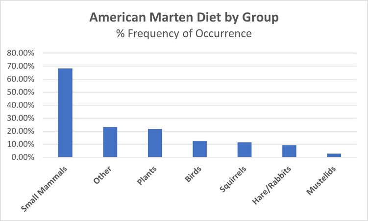 American Martin graph