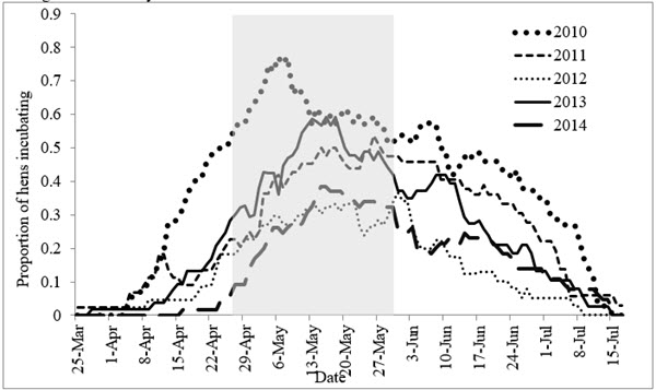 Figure 1. Proportion of satellite-transmittered eastern wild turkey hens incubating eggs by day in Pennsylvania, 2010-2014